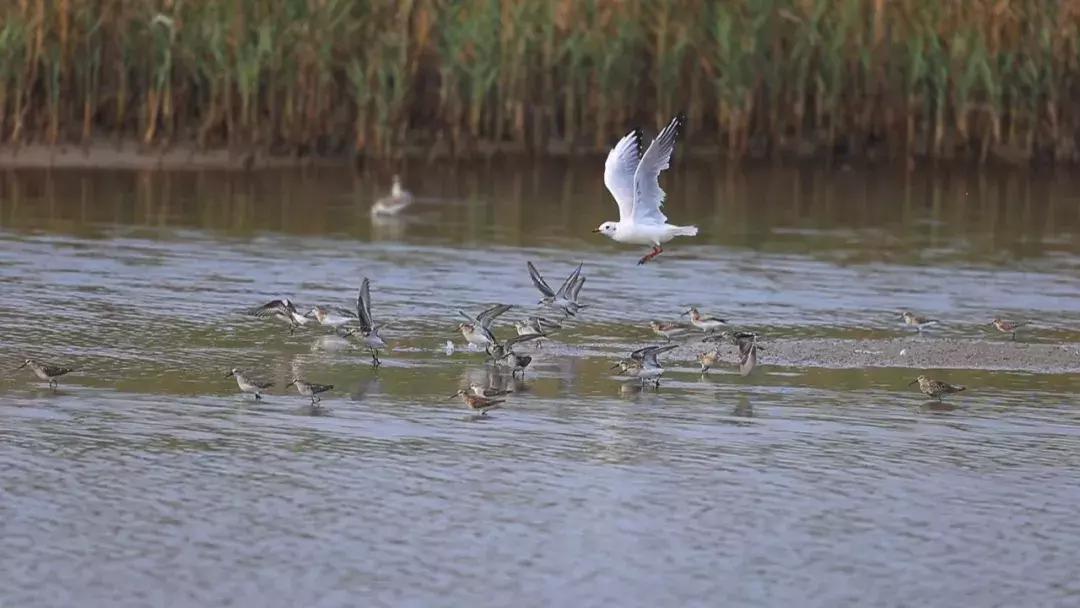 威海市南海新区有啥好玩的,威海南海新区有哪些地方