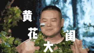 陈赫岳云鹏周六夜现场大张伟,买版权的综艺