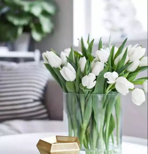 22年世界杯各国球衣,世界杯各国球衣上都有几颗星