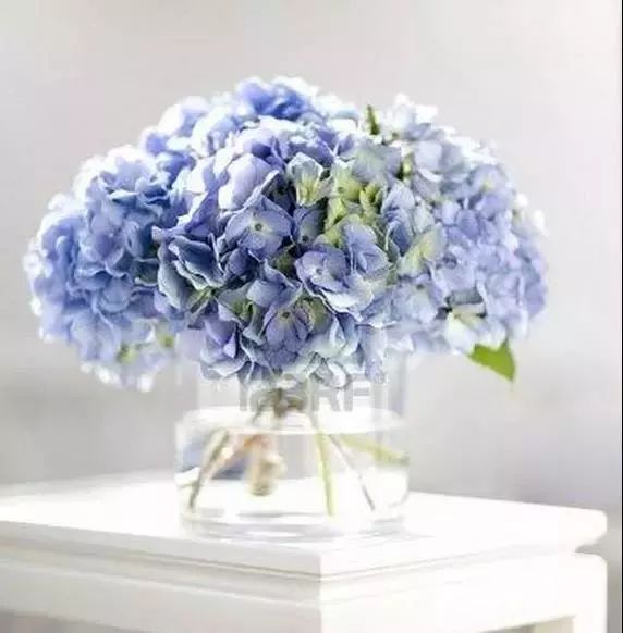 22年世界杯各国球衣,世界杯各国球衣上都有几颗星