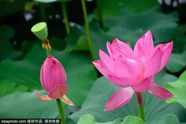 北京值得玩的景点推荐一下,北京旅游攻略免费景点推荐大全