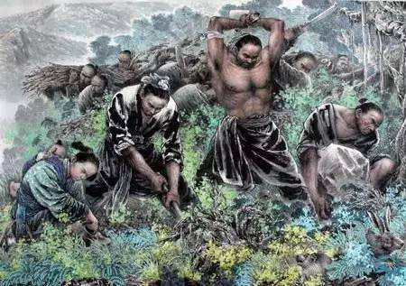 绿林豪客是什么意思,绿林豪客什么意思