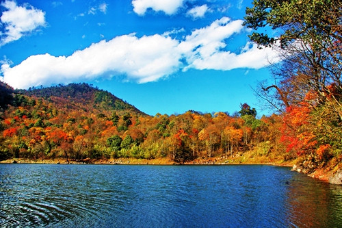 四川省石棉县,因该地盛产优质石棉而得名,全国唯一以矿命名的县