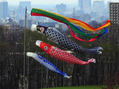 小夕动漫解说,海贼王路飞1045话最新情报