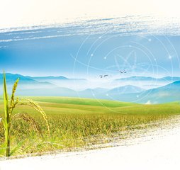 浅谈一下农业新模式,智慧农业的思路和策略