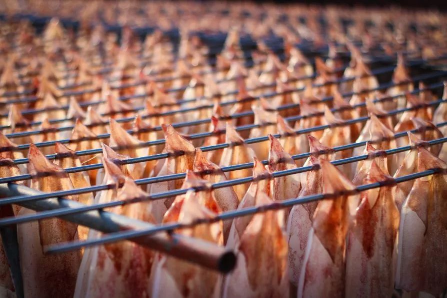 秒杀鼓浪屿,媲美玻利维亚!国内这个小岛凭什么C位出道?