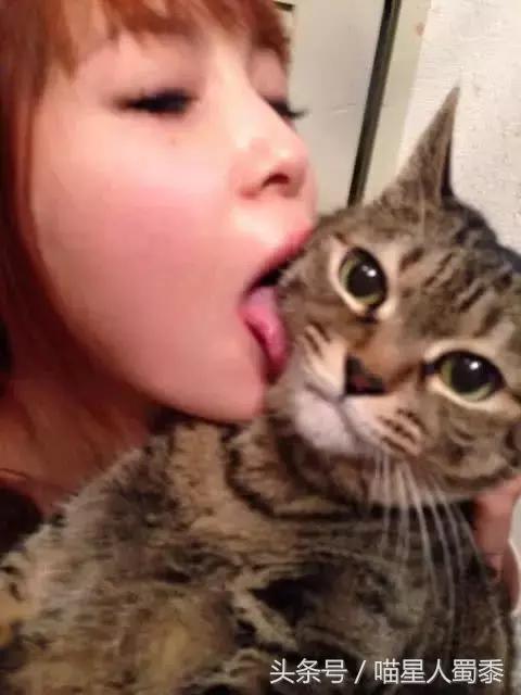 宠物猫不小心咬到主人表情萌翻了,猫咪咬到主人的手猫咪伤心的表情