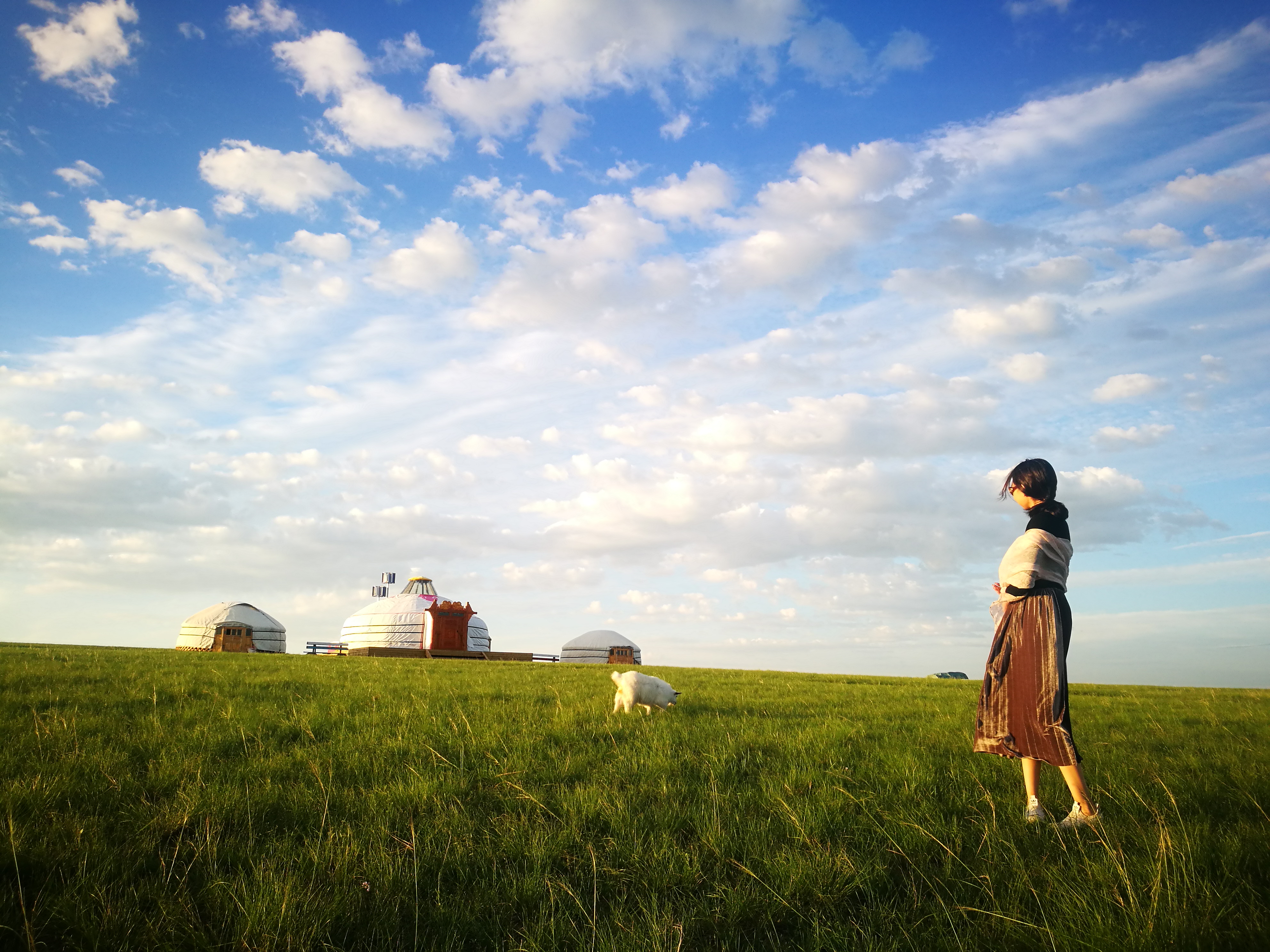 初夏的草原呼伦贝尔六日大环线 (呼伦贝尔草原边境自由行)