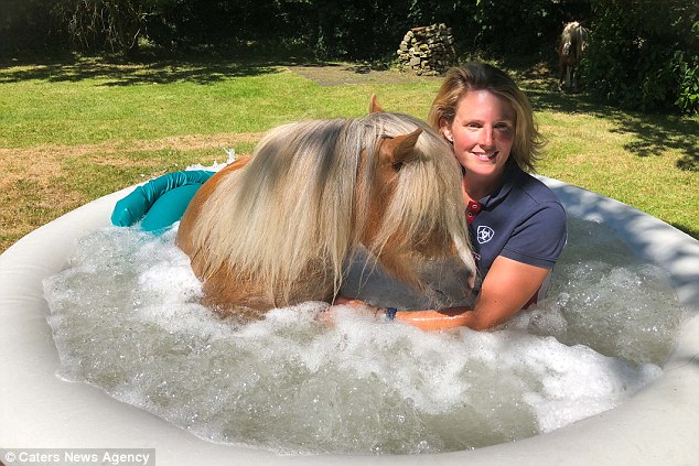 英国美女自家花园给马做spa，浴缸洗浴、热石按摩全都有