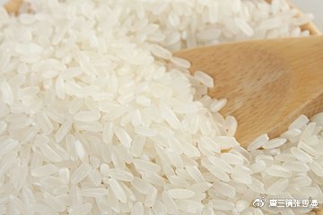 白酒发酵酿酒技术,唐三镜张思漫