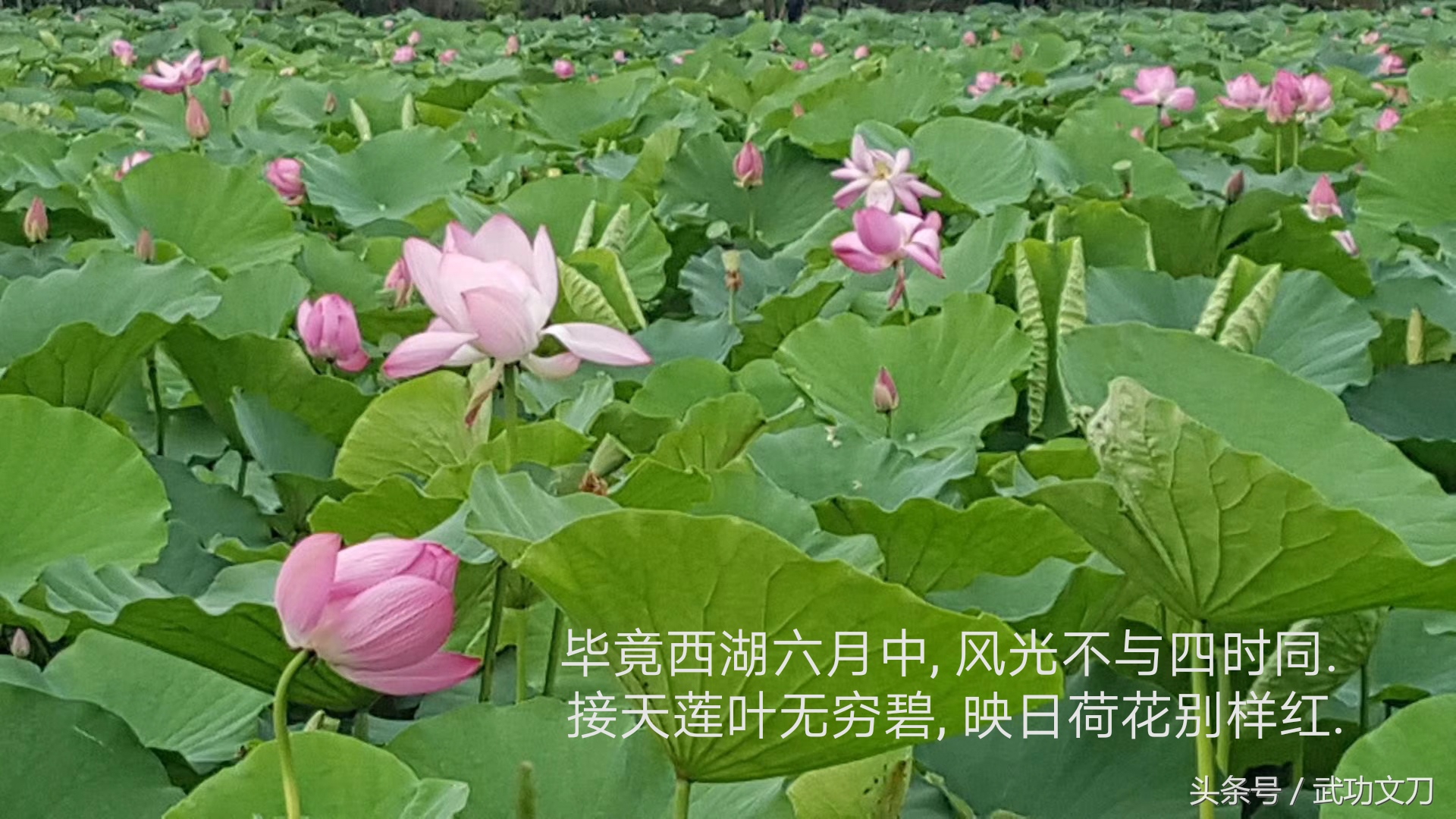 诗歌鉴赏知识小结,诗歌鉴赏解答技巧教学反思