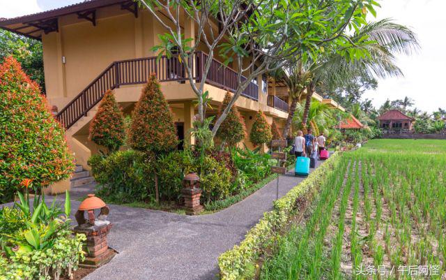 巴厘岛自由行15天,巴厘岛9天攻略