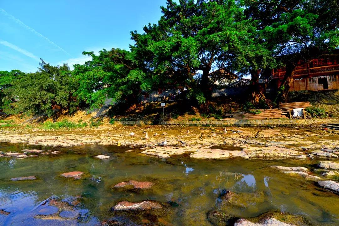 贵州余庆的发展,贵州余庆县经济怎样