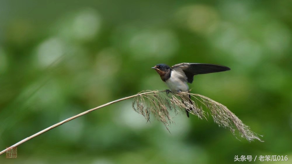 作为面试官,教师求职面试时面试官常问的问题