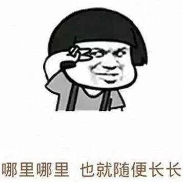 后期菌来带你看看紧张、弱不禁风、表里不一的跨界歌手长什么样