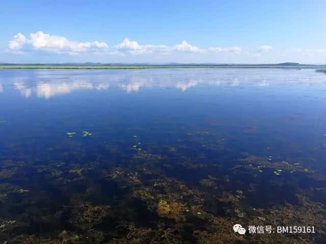 北大荒雷强打猎,北大荒雷强打黑