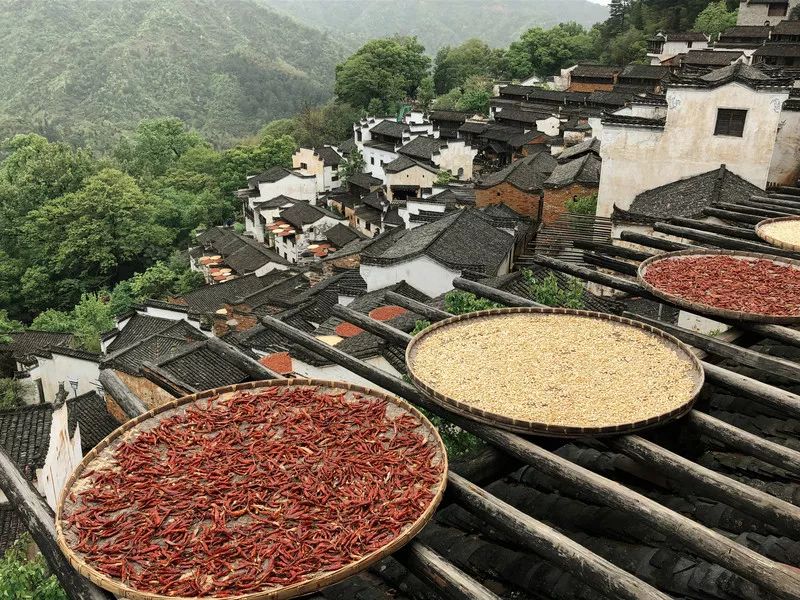 10月篁岭一日游最佳路线,篁岭旅游摄影攻略