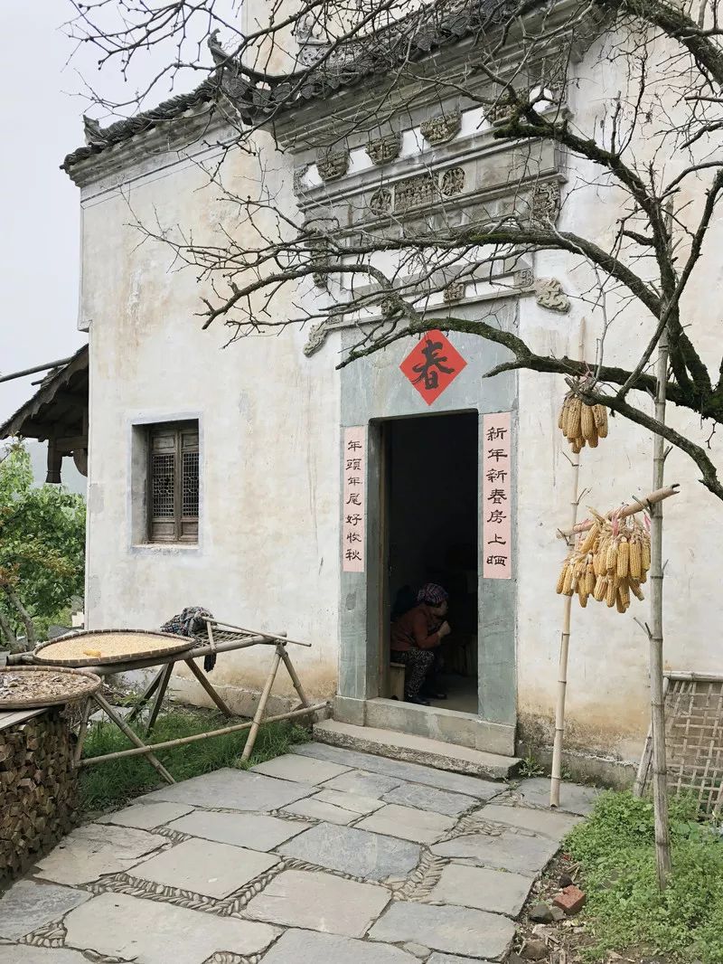 10月篁岭一日游最佳路线,篁岭旅游摄影攻略