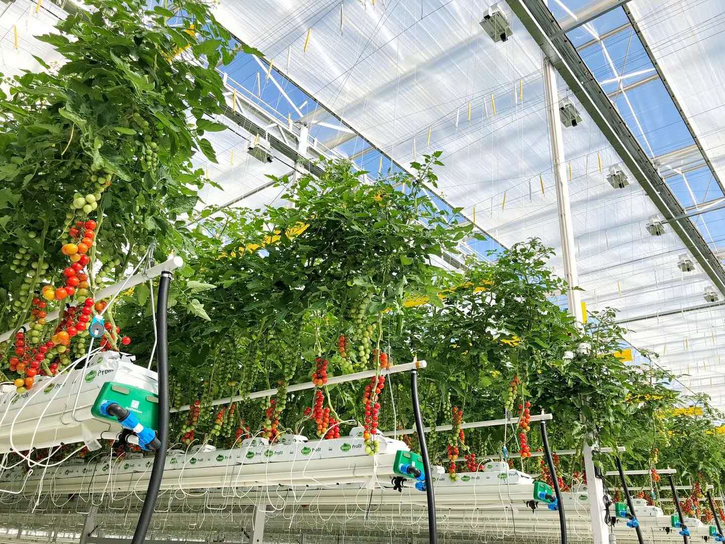 智能温室设计,温室设计建造