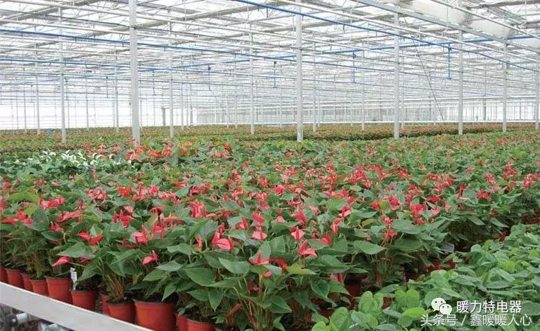 碳纤维电地暖的用途还有哪些,碳纤维电地暖一平多少瓦功率