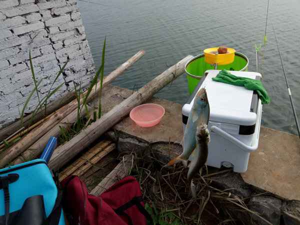 周末钓鱼放松好去处,钓鱼环境优美放松心情