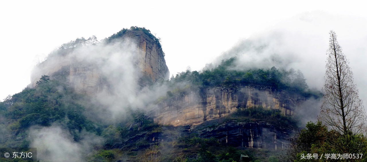 小学生一到三年级必背古诗文,小学三年级必背古诗文全集