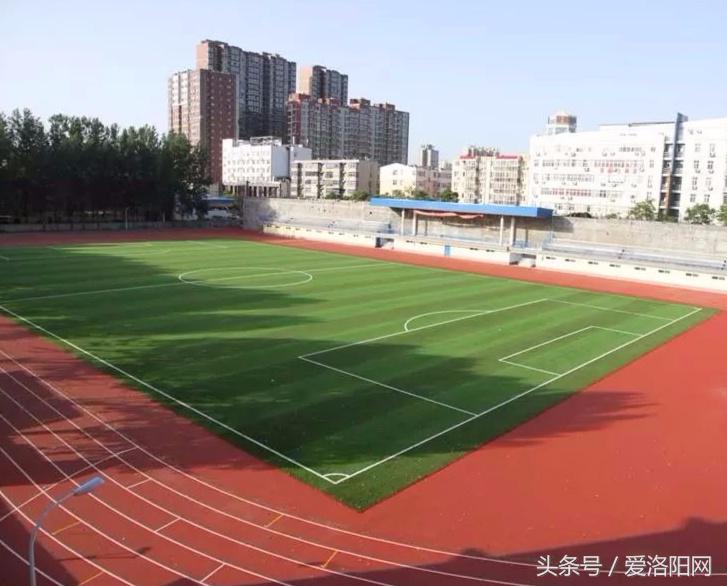 再见再见渡边淳一小说简介,再见原作