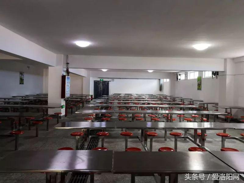 再见再见渡边淳一小说简介,再见原作