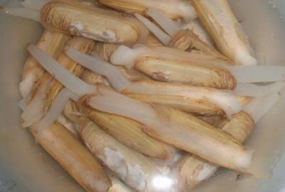 日照有什么好玩的地方,日照金山