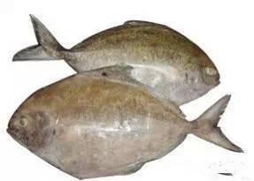 日照有什么好玩的地方,日照金山