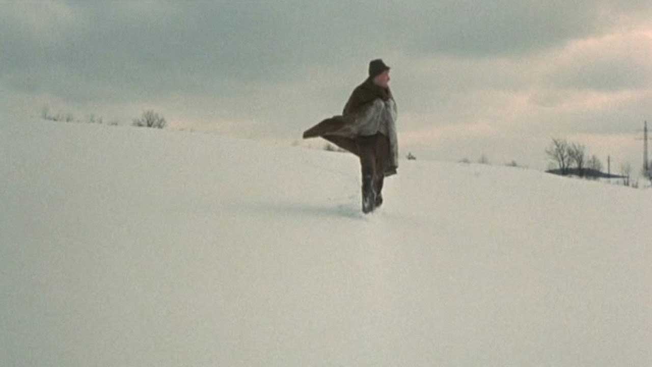 想成为科学家现在该怎么做,想当一名海洋学家