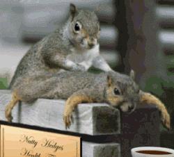 宝宝被蚊子叮了怎么止痒消肿？测评后我发现网红产品竟然最有用！