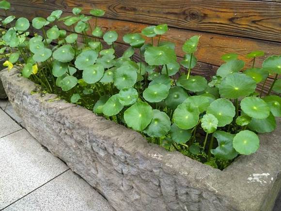 美图t9还值得入手吗,美图t9现在值得入手吗