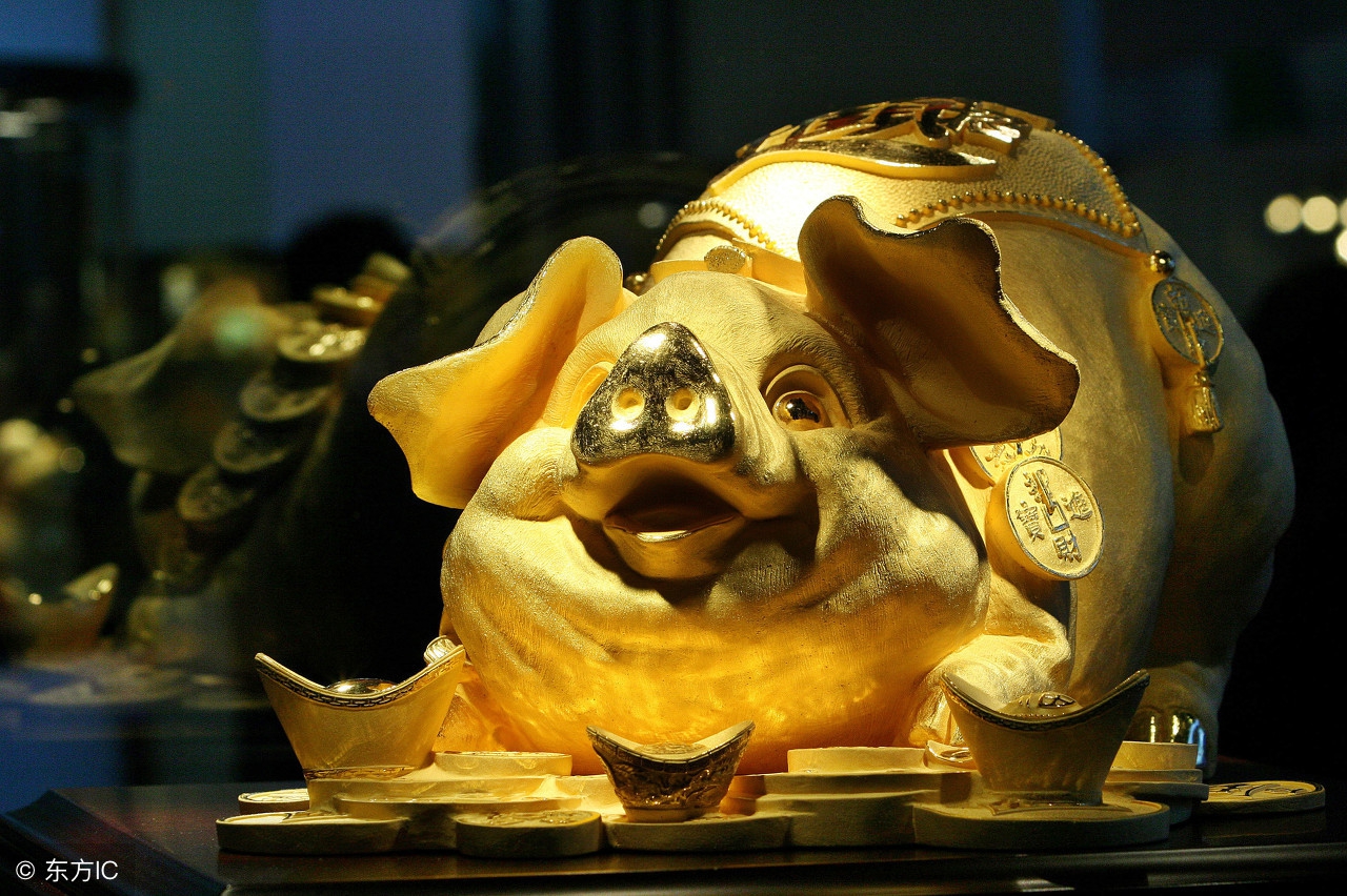 生肖猪未来一个月喜逢两喜,生肖猪在阴历七月有什么喜事发生