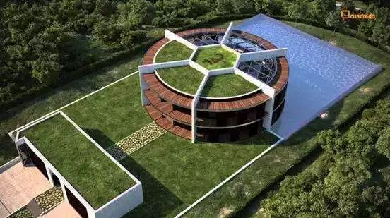 世界上最壮的足球明星,最厉害的足球明星是谁