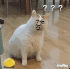 在香港超过7天会怎样处罚,去香港旅游被罚款怎么办