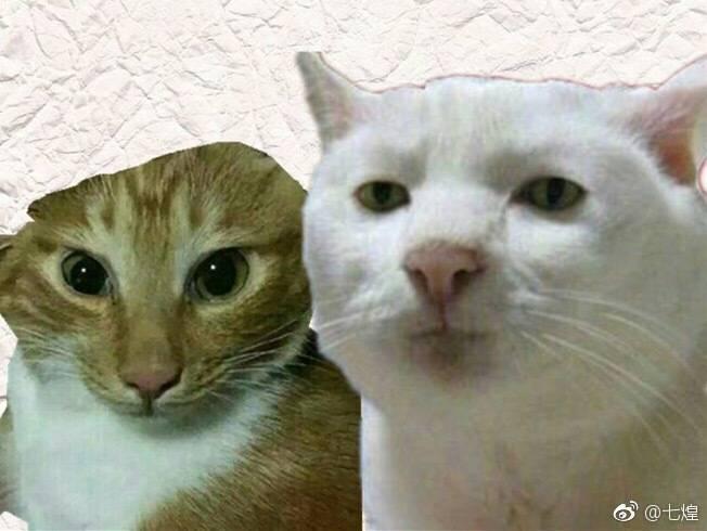 LOL洲际赛：弯弯网友热议Donib，“LPL第一*男舞**”跟马哥两个极端