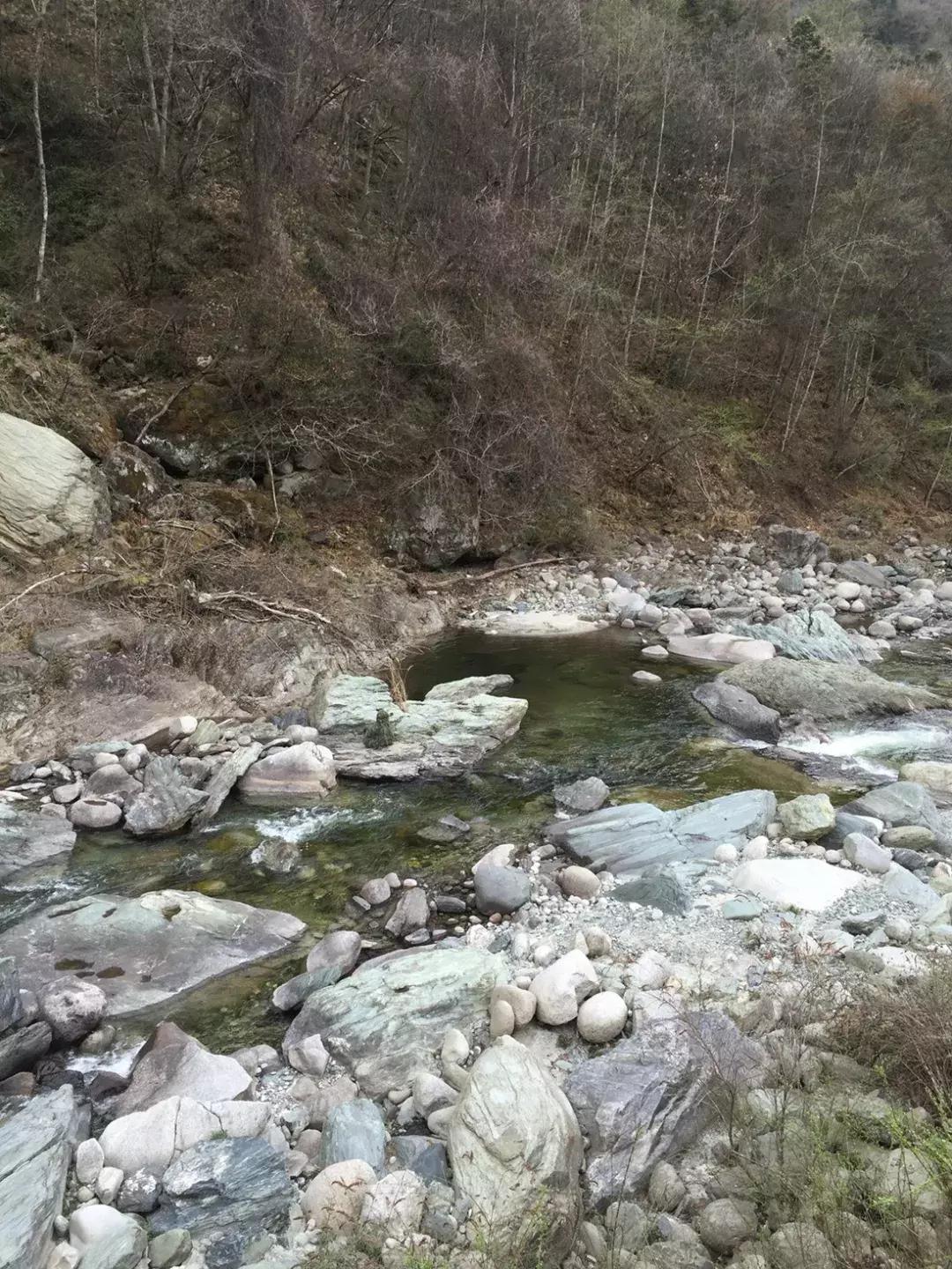 面对尸体，在野外这些野生动物会有什么反应