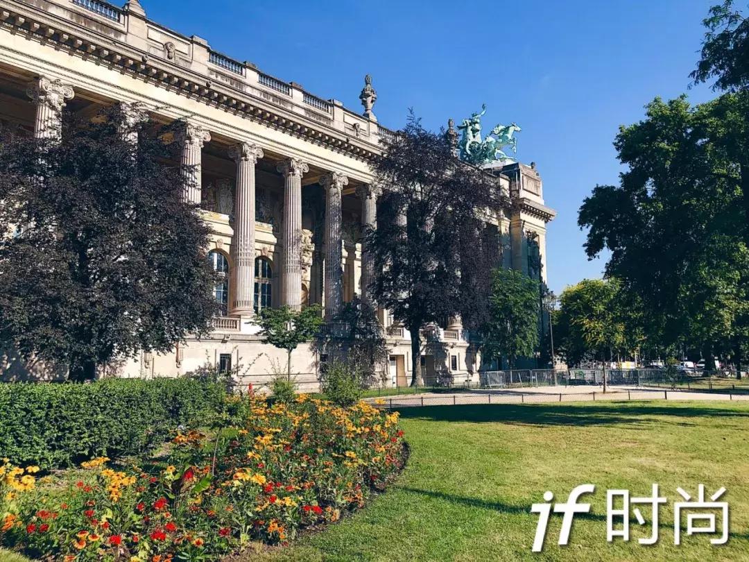 章子怡惊艳摩纳哥玫瑰舞会,章子怡无悬念问鼎影后桂冠