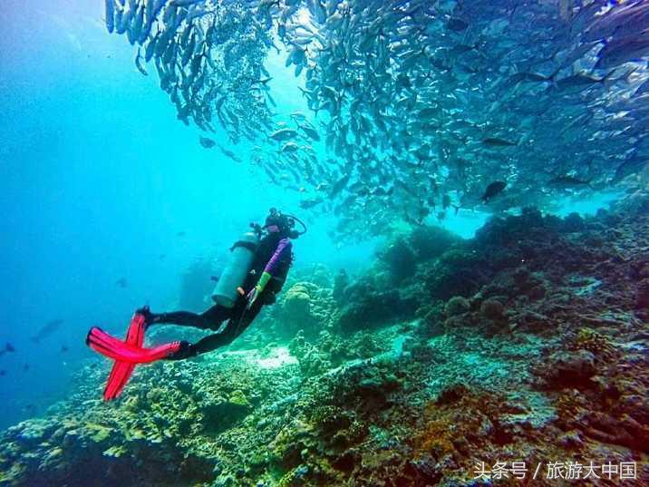 泰国普吉岛十大潜水景点介绍,泰国普吉十大潜水景点排名第一名