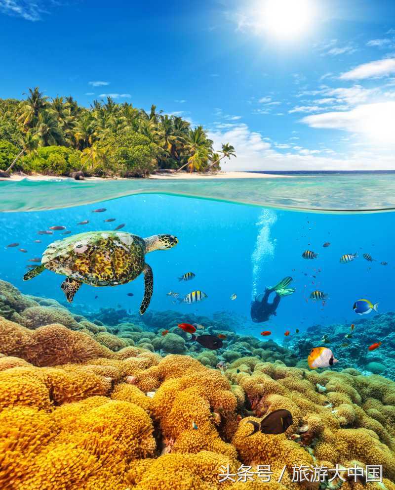 泰国普吉岛十大潜水景点介绍,泰国普吉十大潜水景点排名第一名