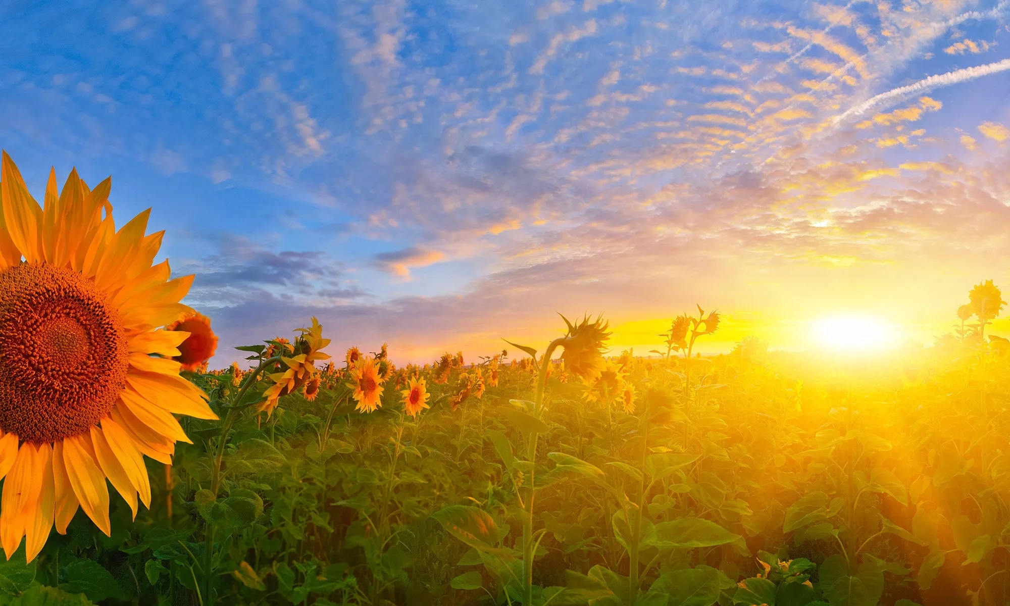 科罗拉多州colorado图,科罗拉多colorado是什么意思