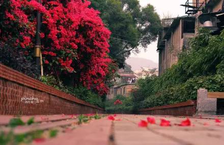 最新厦门六日游攻略,厦门六日游全攻略