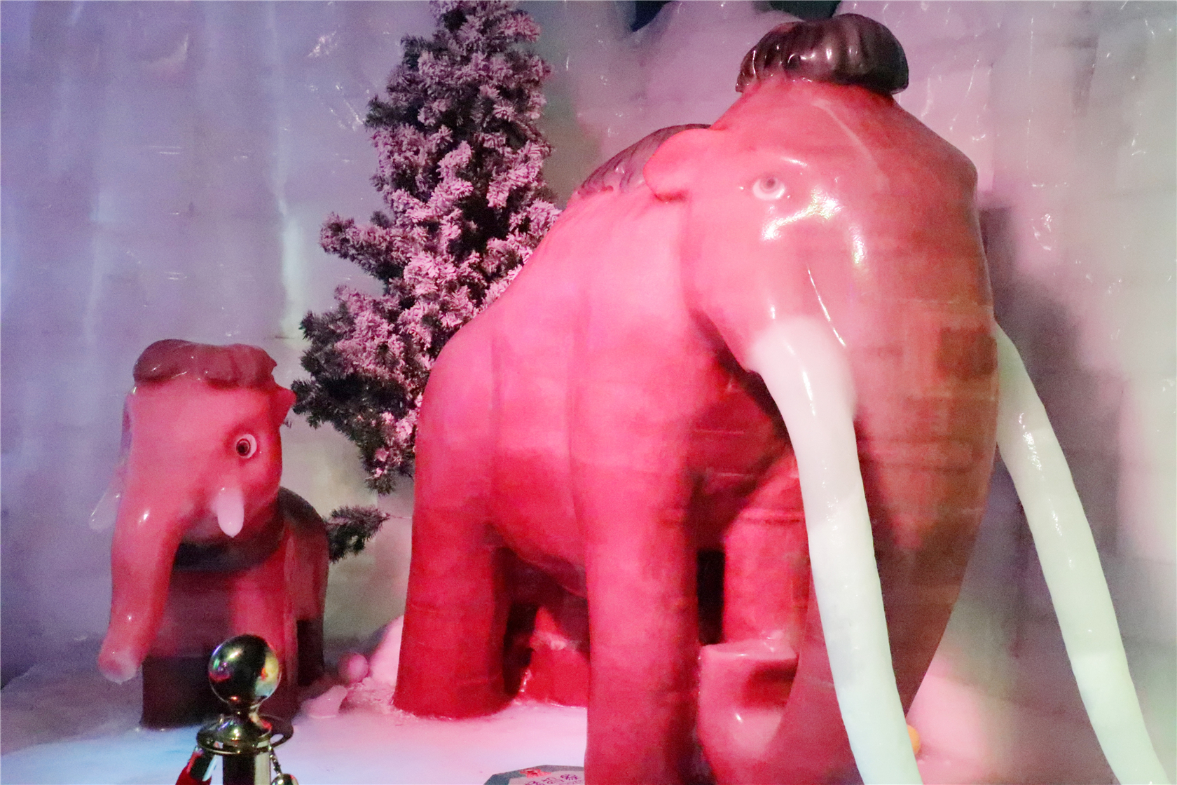 大手牵小手｜带娃来苏州，解锁新玩法