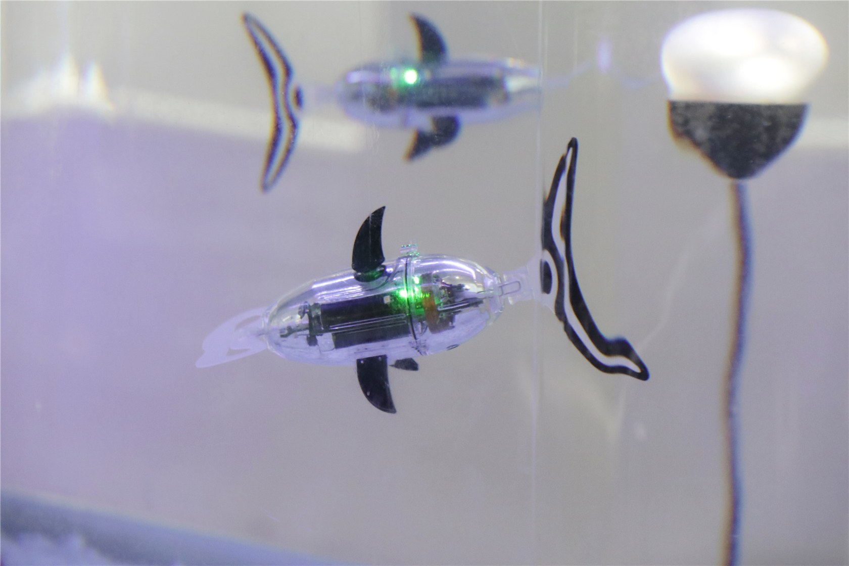 大手牵小手｜带娃来苏州，解锁新玩法