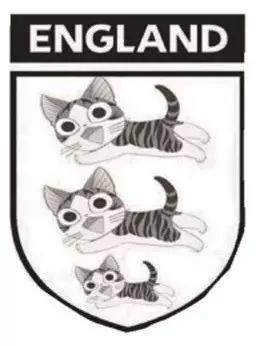 锦湖说世界杯：带你胡侃世界杯之三喵军团（爆笑图文，不容错过）