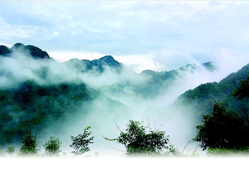 自学八字教材,八字自学成才材料