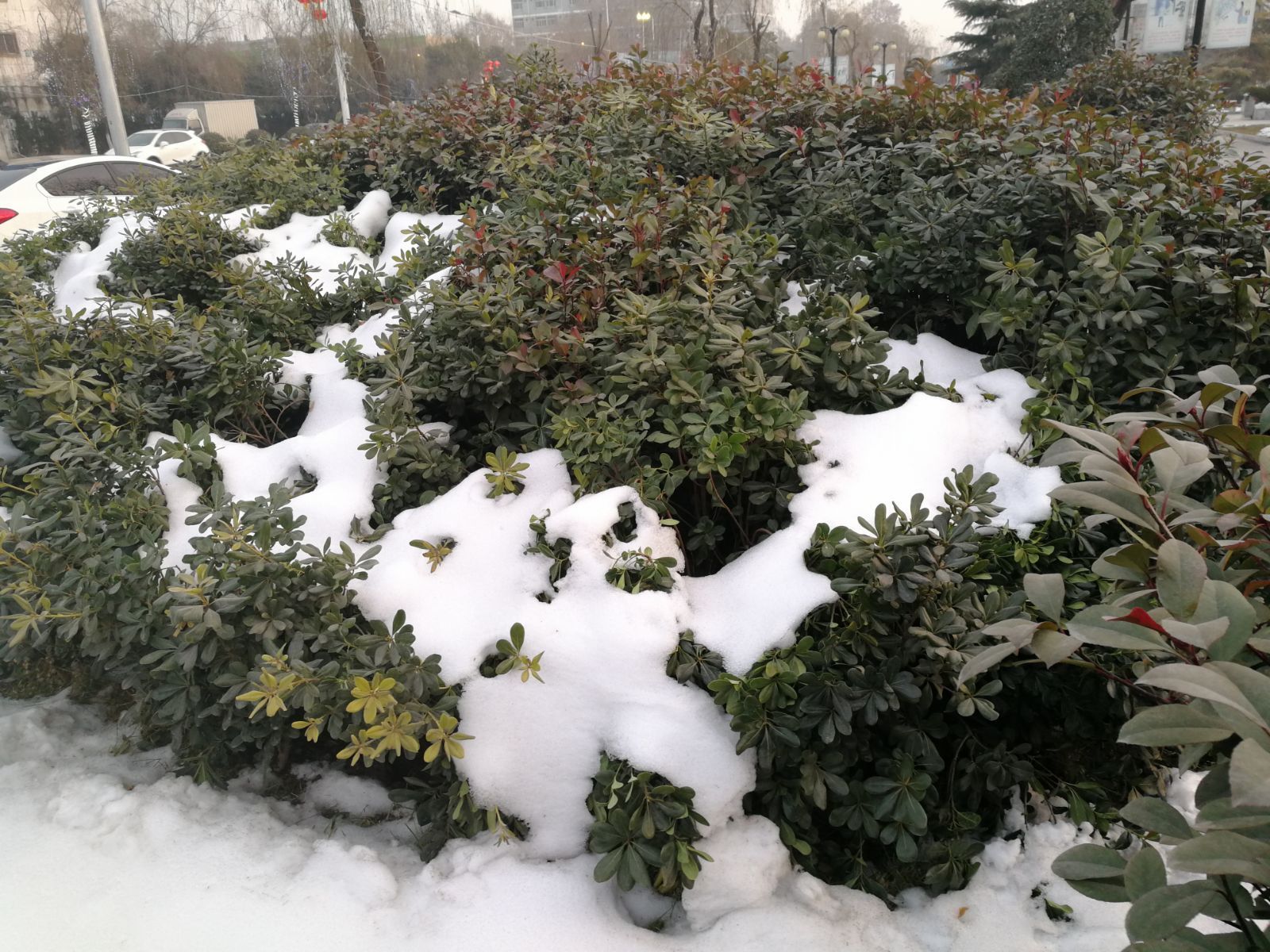 阎良山东人,阎良山东人过年