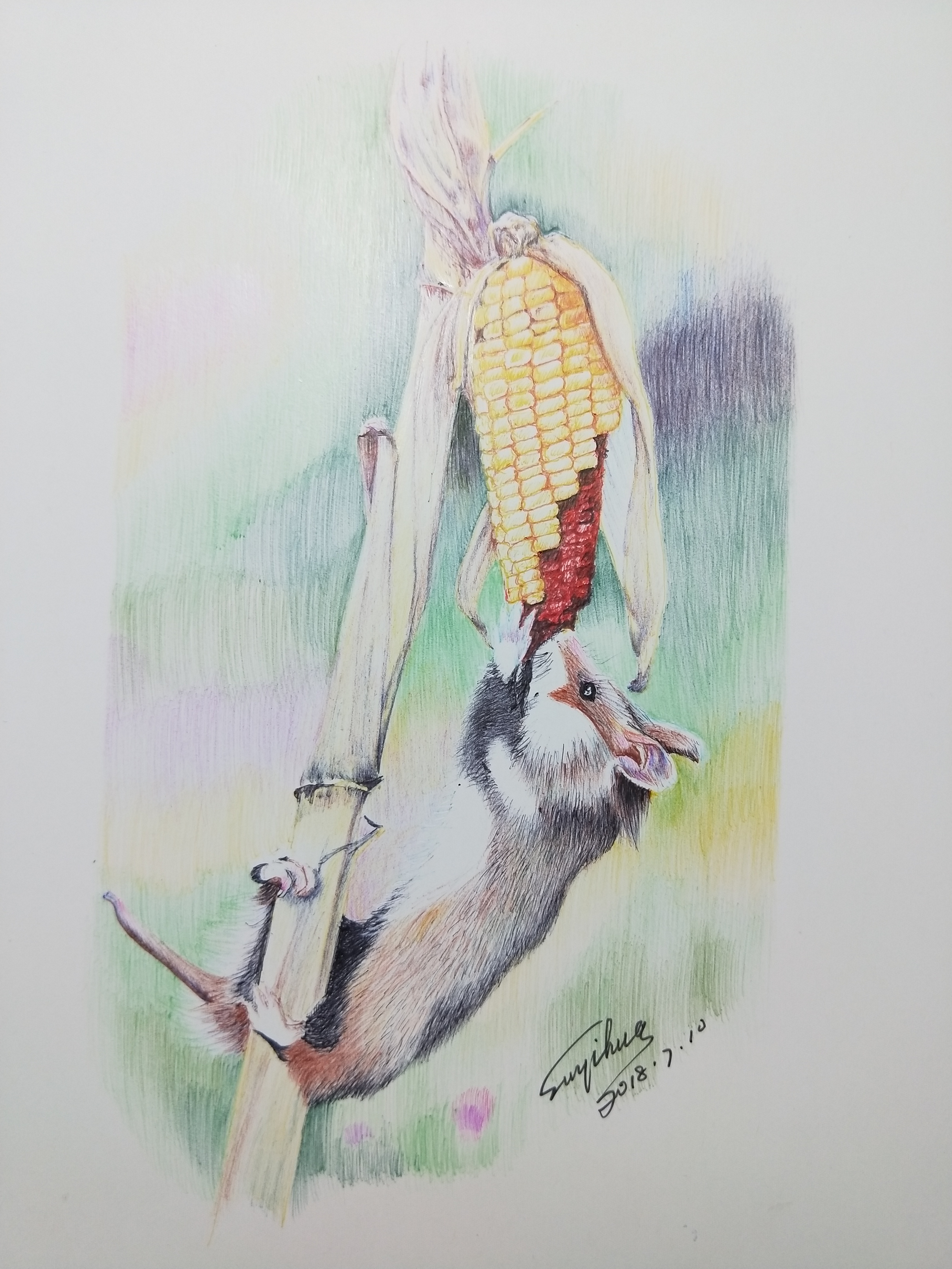 幸福原创画吧（7月10日）画友习作分享