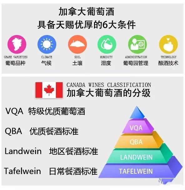 冰点零下7度北冰红冰酒,长白山冰酒零下45度